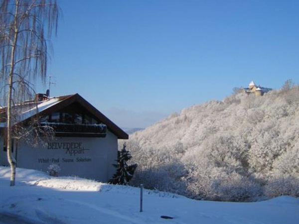 Belvedere Appart & Chalet - Ihr Zuhause Auf Zeit Am Edersee - Ihr Geschenk Die Gaestecard Grimmheimat Waldeck  Exterior photo