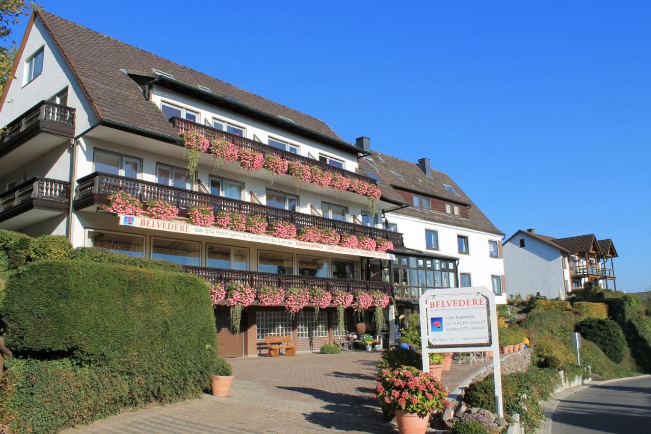 Belvedere Appart & Chalet - Ihr Zuhause Auf Zeit Am Edersee - Ihr Geschenk Die Gaestecard Grimmheimat Waldeck  Exterior photo